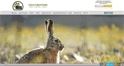 Desktop Screenshot of felis.in