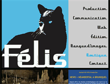 Tablet Screenshot of felis.fr